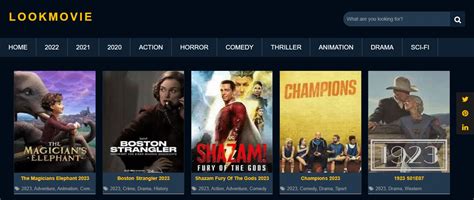 33 Top Lookmovie Alternatives To Enjoy Movies and .